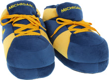Load image into Gallery viewer, Michigan Wolverines