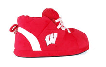 Load image into Gallery viewer, Wisconsin Badgers