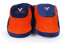 Load image into Gallery viewer, Virginia Cavaliers Low Pro