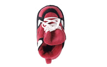 Load image into Gallery viewer, South Carolina Gamecocks Baby Slippers