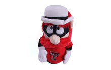 Load image into Gallery viewer, Texas Tech Red Raiders Mascot Slippers