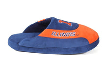 Load image into Gallery viewer, Illinois Fighting Illini Low Pro