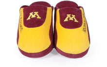Load image into Gallery viewer, Minnesota Golden Gophers Low Pro