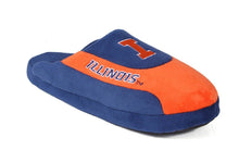 Load image into Gallery viewer, Illinois Fighting Illini Low Pro