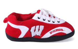 Wisconsin Badgers All Around