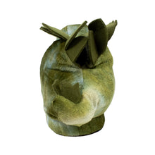 Load image into Gallery viewer, Stegosaurus