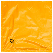 Load image into Gallery viewer, Iowa Hawkeyes Baby Blanket