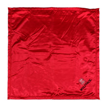 Load image into Gallery viewer, NC State Wolfpack Baby Blanket
