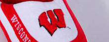 Load image into Gallery viewer, Wisconsin Badgers Low Pro