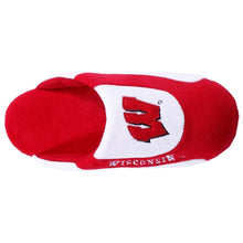 Load image into Gallery viewer, Wisconsin Badgers Low Pro