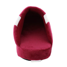 Load image into Gallery viewer, Alabama Crimson Tide Low Pro