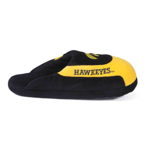 Iowa Hawkeyes Low Pro
