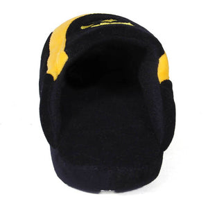 Iowa Hawkeyes Low Pro