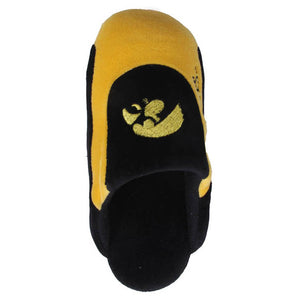 Iowa Hawkeyes Low Pro