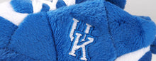 Load image into Gallery viewer, Kentucky Wildcats Baby Slippers