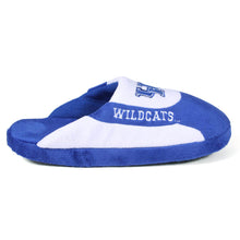 Load image into Gallery viewer, Kentucky Wildcats Low Pro