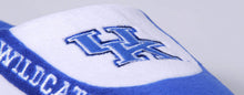 Load image into Gallery viewer, Kentucky Wildcats Low Pro