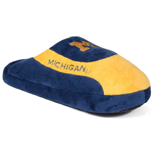 Michigan Wolverines Low Pro