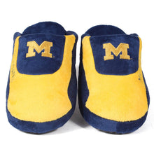 Load image into Gallery viewer, Michigan Wolverines Low Pro