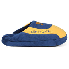 Load image into Gallery viewer, Michigan Wolverines Low Pro