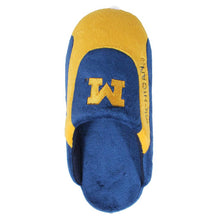 Load image into Gallery viewer, Michigan Wolverines Low Pro