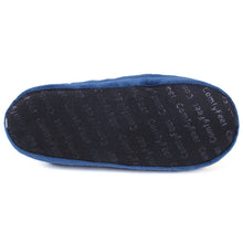 Load image into Gallery viewer, Michigan Wolverines Low Pro