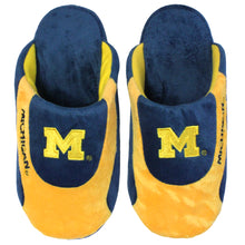 Load image into Gallery viewer, Michigan Wolverines Low Pro