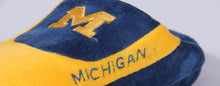 Load image into Gallery viewer, Michigan Wolverines Low Pro