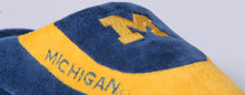 Load image into Gallery viewer, Michigan Wolverines Low Pro