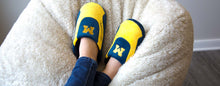 Load image into Gallery viewer, Michigan Wolverines Low Pro