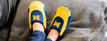 Load image into Gallery viewer, Michigan Wolverines Low Pro