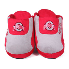 Load image into Gallery viewer, Ohio State Buckeyes Low Pro