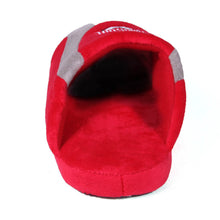 Load image into Gallery viewer, Ohio State Buckeyes Low Pro