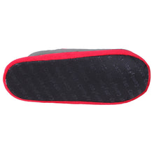 Load image into Gallery viewer, Ohio State Buckeyes Low Pro