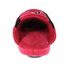 Load image into Gallery viewer, South Carolina Gamecocks Low Pro