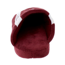 Load image into Gallery viewer, Texas A&amp;M Aggies Low Pro