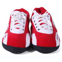 Load image into Gallery viewer, Wisconsin Badgers All Around