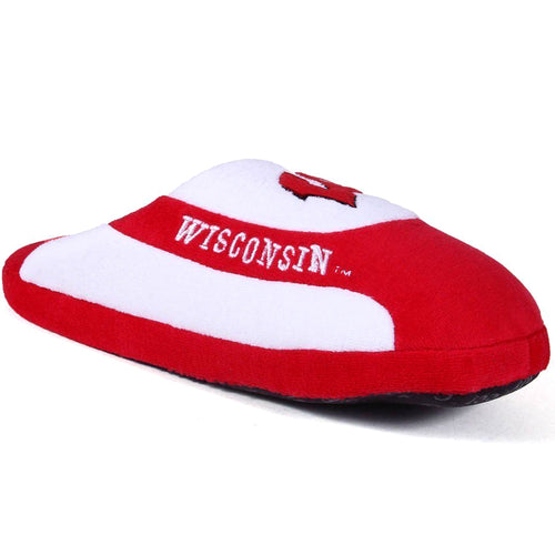 Wisconsin Badgers Low Pro