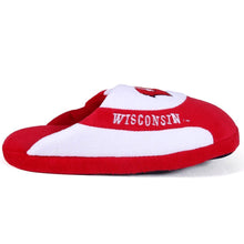 Load image into Gallery viewer, Wisconsin Badgers Low Pro