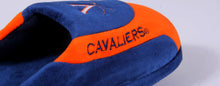 Load image into Gallery viewer, Virginia Cavaliers Low Pro