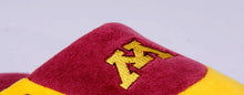 Load image into Gallery viewer, Minnesota Golden Gophers Low Pro