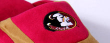 Load image into Gallery viewer, Florida State Seminoles Low Pro
