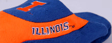 Load image into Gallery viewer, Illinois Fighting Illini Low Pro
