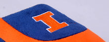 Load image into Gallery viewer, Illinois Fighting Illini Low Pro