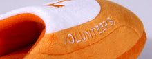 Load image into Gallery viewer, Tennessee Volunteers Low Pro