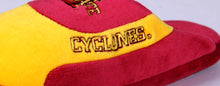 Load image into Gallery viewer, Iowa State Cyclones Low Pro