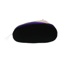 Load image into Gallery viewer, Evil Queen Slippers