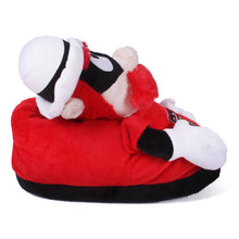 Load image into Gallery viewer, Texas Tech Red Raiders Mascot Slippers
