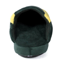 Load image into Gallery viewer, Oregon Ducks Low Pro