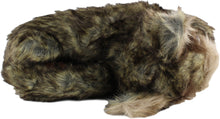 Load image into Gallery viewer, Yorkshire Terrier